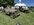 IMG_6826.jpeg