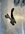 IMG_4566.jpeg