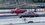 IMG_2080.jpeg