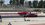 IMG_2083.jpeg