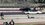 IMG_2085.jpeg