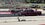 IMG_2086.jpeg