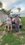 IMG_0514.jpeg