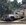 IMG_4013.jpeg