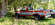 IMG_2384.png