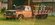 IMG_2373.jpeg