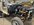 IMG_5501.jpeg