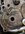 PXL_20260407_033553417.MACRO_FOCUS_Original.jpeg