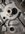 PXL_20260407_033750923.MACRO_FOCUS_Original.jpeg