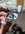 PXL_20260407_033956855.MACRO_FOCUS_Original.jpeg