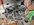 IMG_20260414_141028_974_Original.jpeg