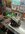 IMG_20260414_141837_825_Original.jpeg