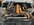 IMG_5518.jpeg