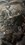 IMG_0559.jpeg