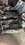 IMG_0558.jpeg
