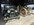 IMG_6957.jpeg
