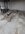 IMG_9063.jpeg