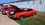 IMG_20260822_104656012_MP.jpg