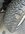 IMG_7103.jpeg