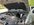 IMG_7073.jpeg