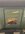 IMG_0905.jpeg