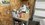 IMG_2167.jpeg