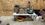 IMG_2173.jpeg