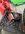 IMG_0658.jpeg