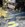 IMG_7976.jpeg