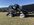 IMG_3528 Large.jpeg