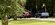 IMG_2944.jpeg