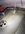 IMG_9211.jpeg