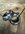 IMG_2349.jpeg