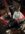 IMG_9119.jpeg