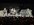 IMG_9755.jpeg