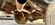 IMG_3980.jpeg