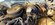 IMG_3977.jpeg