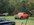 IMG_3571.jpeg