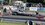 IMG_2209.jpeg