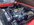 IMG_3619.jpeg