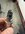 IMG_6935.jpeg