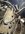 IMG_6944.jpeg