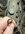 IMG_6945.jpeg