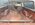 IMG_0354.jpeg