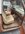 IMG_0356.jpeg