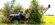 IMG_4194.jpeg
