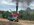 IMG_7076.jpeg
