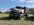 IMG_7075.jpeg