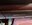 IMG_6958.jpeg
