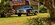 IMG_4659.jpeg